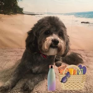 Meet your Posher, Debra